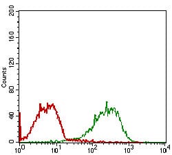 Figure 4: Flow cytometric analysis of MCF-7 cells using RELB mouse mAb (green) and negative control (red).