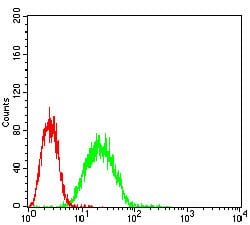 Figure 4: Flow cytometric analysis of A431 cells using EIF2AK2 mouse mAb (green) and negative control (red).