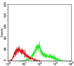 Figure 3: Flow cytometric analysis of Hela cells using TUBE1 mouse mAb (green) and negative control (red).