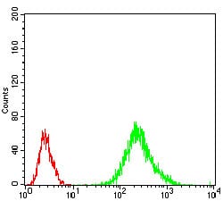 Figure 4: Flow cytometric analysis of Jurkat cells using RANBP9 mouse mAb (green) and negative control (red).