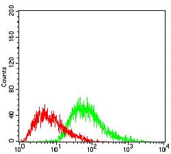 Figure 3: Flow cytometric analysis of Hela cells using PPARGC1B mouse mAb (green) and negative control (red).