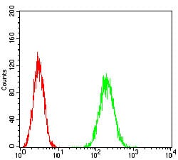 Figure 4: Flow cytometric analysis of Hela cells using HPRT1 mouse mAb (green) and negative control (red).