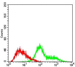 Figure 3: Flow cytometric analysis of Hela cells using TUBE1 mouse mAb (green) and negative control (red).