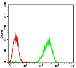 Figure 4: Flow cytometric analysis of A431 cells using EIF2AK2 mouse mAb (green) and negative control (red).