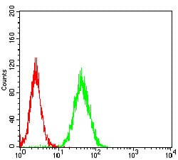 Figure 3: Flow cytometric analysis of Hela cells using RHOF mouse mAb (green) and negative control (red).