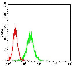 Figure 3: Flow cytometric analysis of Hela cells using RBL2 mouse mAb (green) and negative control (red).