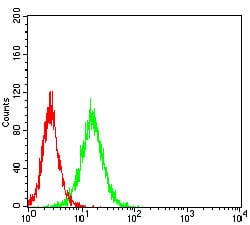 Figure 3: Flow cytometric analysis of Hela cells using VTN mouse mAb (green) and negative control (red).