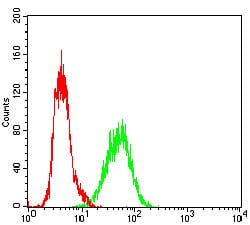 Figure 5: Flow cytometric analysis of A431 cells using XRCC6 mouse mAb (green) and negative control (red).