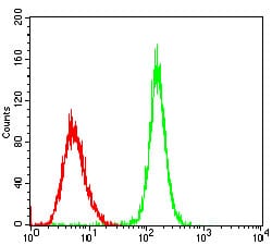 Figure 4: Flow cytometric analysis of Hela cells using PER3 mouse mAb (green) and negative control (red).