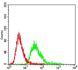 Figure 4: Flow cytometric analysis of A549 cells using SERPINA3 mouse mAb (green) and negative control (red).