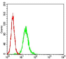 Figure 3: Flow cytometric analysis of Hela cells using APP mouse mAb (green) and negative control (red).