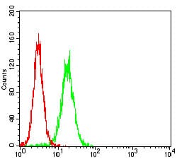 Figure 3: Flow cytometric analysis of Hela cells using WT1 mouse mAb (green) and negative control (red).