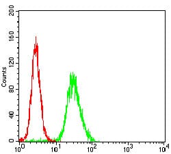 Figure 3: Flow cytometric analysis of Hela cells using WAS mouse mAb (green) and negative control (red).