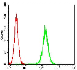 Figure 4: Flow cytometric analysis of Hela cells using PKN1 mouse mAb (green) and negative control (red).