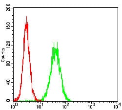 Figure 3: Flow cytometric analysis of Hela cells using APBB1IP mouse mAb (green) and negative control (red).