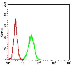 Figure 3: Flow cytometric analysis of Hela cells using APBB1IP mouse mAb (green) and negative control (red).