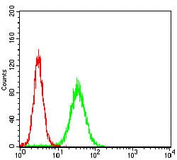 Figure 1: Flow cytometric analysis of Hela cells using SEMAPHORIN-3A mouse mAb (green) and negative control (red).