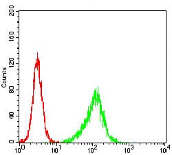 Figure 3: Flow cytometric analysis of Hela cells using PLCG2 mouse mAb (green) and negative control (red).