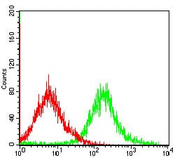 Figure 4: Flow cytometric analysis of MCF-7 cells using CASP-7 mouse mAb (green) and negative control (red).