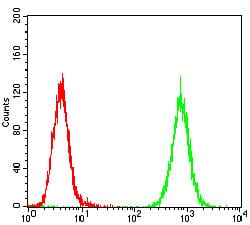 Figure 4: Flow cytometric analysis of Hela cells using PDGFRA mouse mAb (green) and negative control (red).