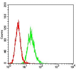 Figure 3: Flow cytometric analysis of Hela cells using CD6 mouse mAb (green) and negative control (red).