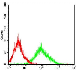 Figure 5: Flow cytometric analysis of MCF-7 cells using SNAI2 mouse mAb (green) and negative control (red).