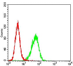 Figure 3: Flow cytometric analysis of Hela cells using TFF2 mouse mAb (green) and negative control (red).