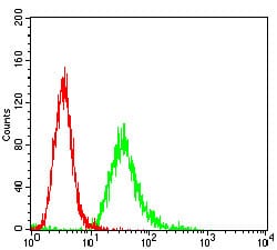 Figure 3: Flow cytometric analysis of Hela cells using ANPEP mouse mAb (green) and negative control (red).