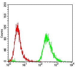 Figure 3: Flow cytometric analysis of A431 cells using EPN1 mouse mAb (green) and negative control (red).