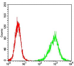 Figure 2: Flow cytometric analysis of NIH/3T3 cells using HH3 mouse mAb (green) and negative control (red).