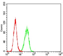 Figure 1: Flow cytometric analysis of Hela cells using PKD1 Rat mAb (green) and negative control (red).