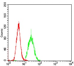 Figure 3: Flow cytometric analysis of Hela cells using PKHD1 Rat mAb (green) and negative control (red).