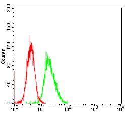 Figure 2: Flow cytometric analysis of NIH/3T3 cells using HH3 mouse mAb (green) and negative control (red).