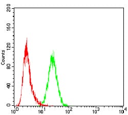 Figure 1: Flow cytometric analysis of Hela cells using SLINGSHOT-1L mouse mAb (green) and negative control (red).