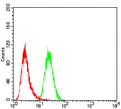 Figure 3: Flow cytometric analysis of Hela cells using EIF5A mouse mAb (green) and negative control (red).