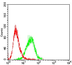 Figure 4: Flow cytometric analysis of Jurkat cells using CD6 mouse mAb (green) and negative control (red).