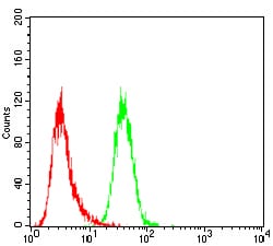 Figure 3: Flow cytometric analysis of Hela cells using JAK2 mouse mAb (green) and negative control (red).