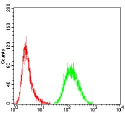 Figure 1: Flow cytometric analysis of Hela cells using MDM2 mouse mAb (green) and negative control (red).