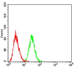 Figure 4: Flow cytometric analysis of Jurkat cells using LHCGR mouse mAb (green) and negative control (red).