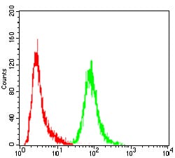 Figure 5:Flow cytometric analysis of Hela cells using ANXA5 mouse mAb (green) and negative control (red).