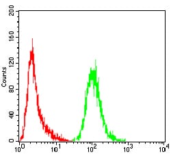 Figure 5:Flow cytometric analysis of Hela cells using NOX4 mouse mAb (green) and negative control (red).