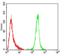Figure 4:Flow cytometric analysis of Hela cells using ERBB4 mouse mAb (green) and negative control (red).