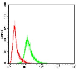 Figure 4:Flow cytometric analysis of Hela cells using VAV2 mouse mAb (green) and negative control (red).