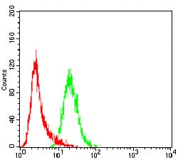 Figure 4:Flow cytometric analysis of Hela cells using WTAP mouse mAb (green) and negative control (red).