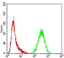 Figure 4:Flow cytometric analysis of Hela cells using CASP3 mouse mAb (green) and negative control (red).