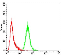 Figure 4:Flow cytometric analysis of Hela cells using P2RY13 mouse mAb (green) and negative control (red).