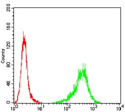 Figure 6:Flow cytometric analysis of A431 cells using TUBB1 mouse mAb (green) and negative control (red).