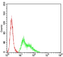 Figure 4:Flow cytometric analysis of Hela cells using KCND2 mouse mAb (green) and negative control (red).