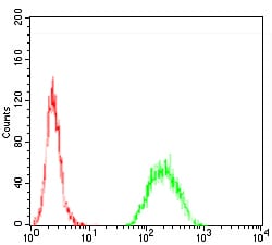 Figure 5:Flow cytometric analysis of Hela cells using TIP60 mouse mAb (green) and negative control (red).