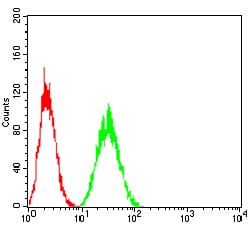 Figure 4:Flow cytometric analysis of Hela cells using LDLR mouse mAb (green) and negative control (red).